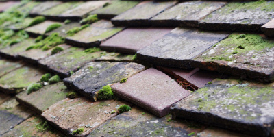 Sproxton roof repair costs